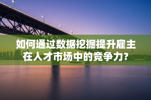 如何通过数据挖掘提升雇主在人才市场中的竞争力？