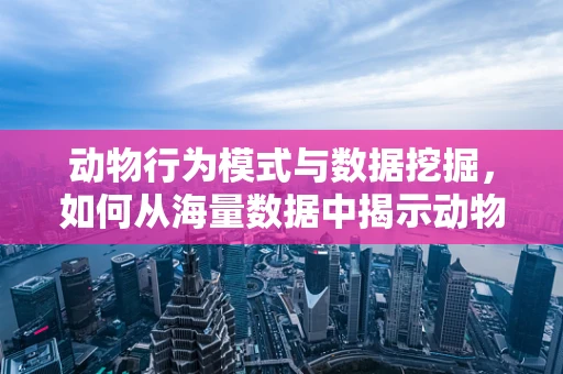 动物行为模式与数据挖掘，如何从海量数据中揭示动物学奥秘？