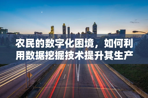 农民的数字化困境，如何利用数据挖掘技术提升其生产效率？