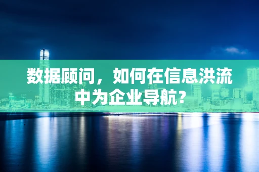 数据顾问，如何在信息洪流中为企业导航？