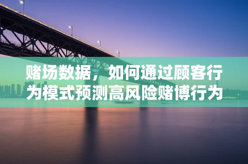 赌场数据，如何通过顾客行为模式预测高风险赌博行为？